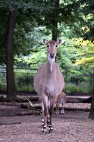 IMG_8260-11.jpg