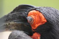 IMG_02741.jpg