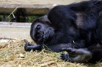 IMG_2314-1.jpg