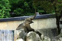 IMG_2414-1.jpg