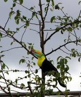 IMG_0162-11.jpg