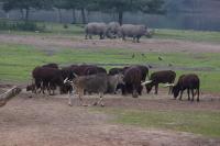 IMG_1373-11.jpg