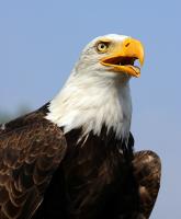 IMG_2446-11.jpg