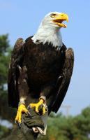 IMG_2482-11.jpg