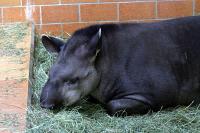 IMG_2963-1.jpg
