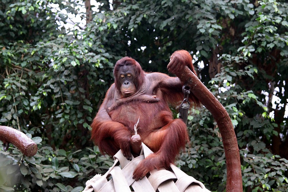 IMG_65431.jpg