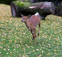 IMG_74271.jpg