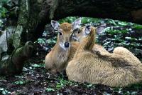 IMG_3684-1.jpg