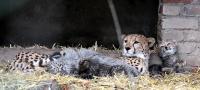 IMG_0559-11.jpg