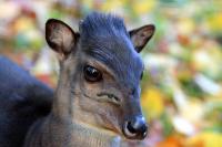 IMG_8735-11.jpg