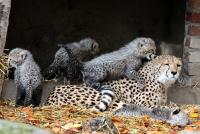 IMG_9969-11.jpg