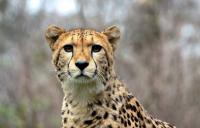IMG_2057-11.jpg