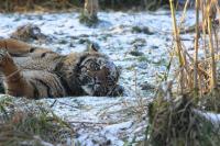 IMG_3198-11.jpg