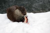 IMG_3334-11.jpg