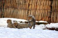 IMG_4487-11.jpg