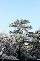 IMG_5907-11.jpg