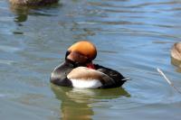 IMG_0320-11.jpg