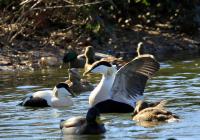 IMG_0334-11.jpg
