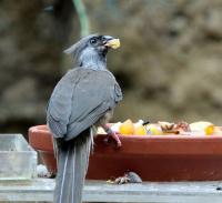 IMG_1240-11.jpg
