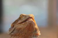 IMG_1820-11.jpg