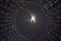 IMG_1836-11.jpg