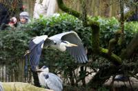 IMG_2011-11.jpg
