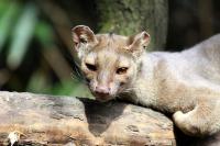 Duisburger Zoo April 2010
