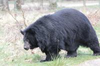 IMG_2777-11.jpg