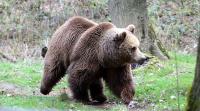 IMG_3016-11.jpg