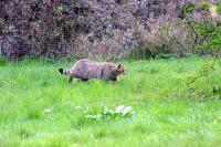 IMG_3050-11.jpg