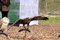 IMG_3172-11.jpg