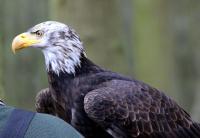 IMG_3232-11.jpg