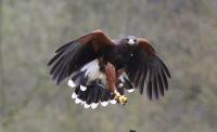 IMG_3333-11.jpg