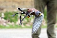 IMG_3379-1.jpg