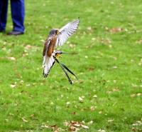 IMG_3386-11.jpg