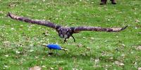 IMG_3559-11.jpg