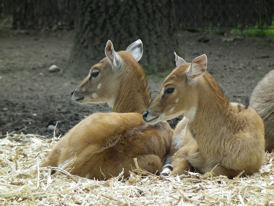 DSCF0104-11.jpg