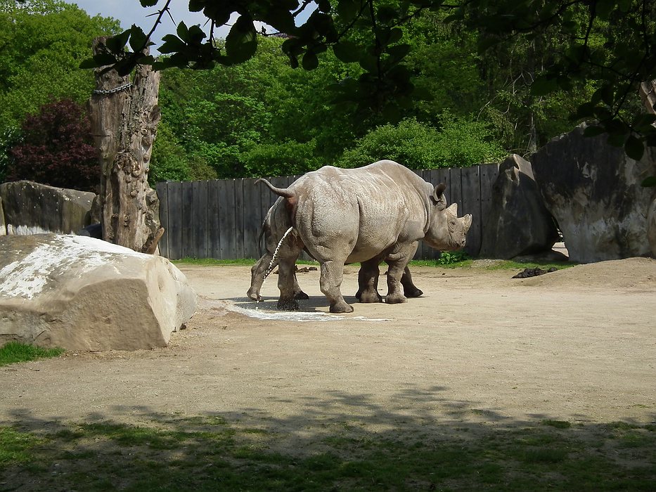 DSCF0134-11.jpg