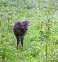 IMG_74771.jpg