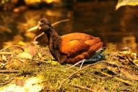 IMG_76411.jpg