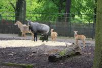 IMG_77241.jpg
