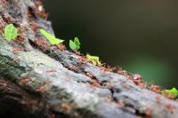 IMG_78141.jpg