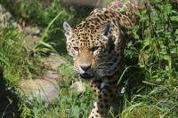 IMG_8112-11.jpg