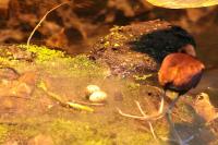 IMG_9460-11.jpg