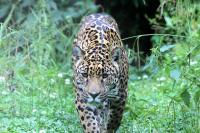 IMG_9709-11.jpg