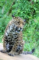 IMG_9762-11.jpg