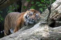 IMG_0660-11.jpg