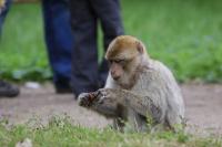 IMG_0735-11.jpg