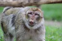 IMG_0738-11.jpg