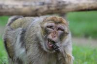 IMG_0739-11.jpg